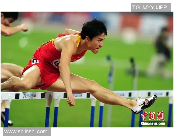 一周体育综述：聚焦赛场亮点与精彩瞬间，胜负之外的精彩故事