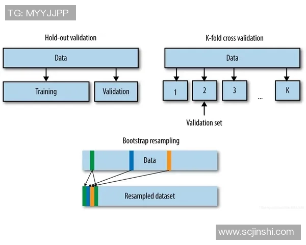 职业棒球联盟中投手疲劳指数模型构建与验证
